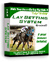 Lay Betting System V4